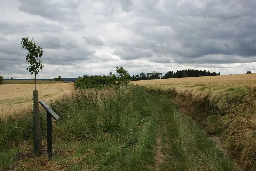 jaegerskreuz weg2 juni 2014 900x600