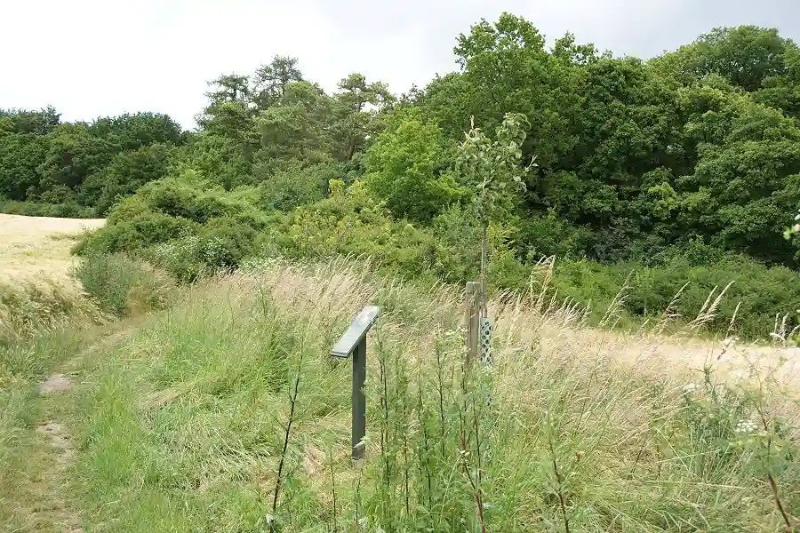 jaegerskreuz weg juni 2014